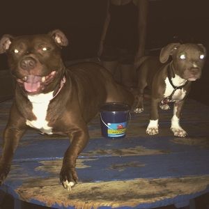 Meet your Posher, Angie